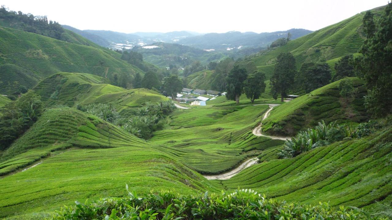 The Quintet Cameron Highlands By Tulip Tanah Rata Buitenkant foto